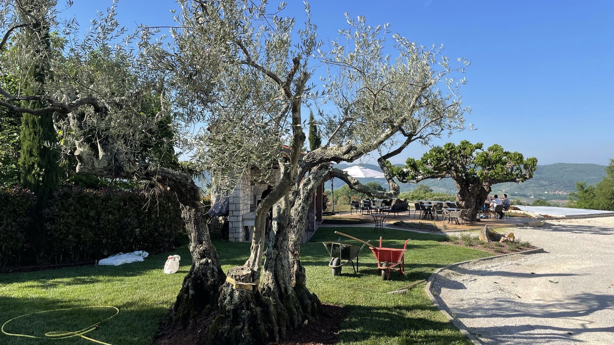 Uređenje okoliša vinarija Rossi